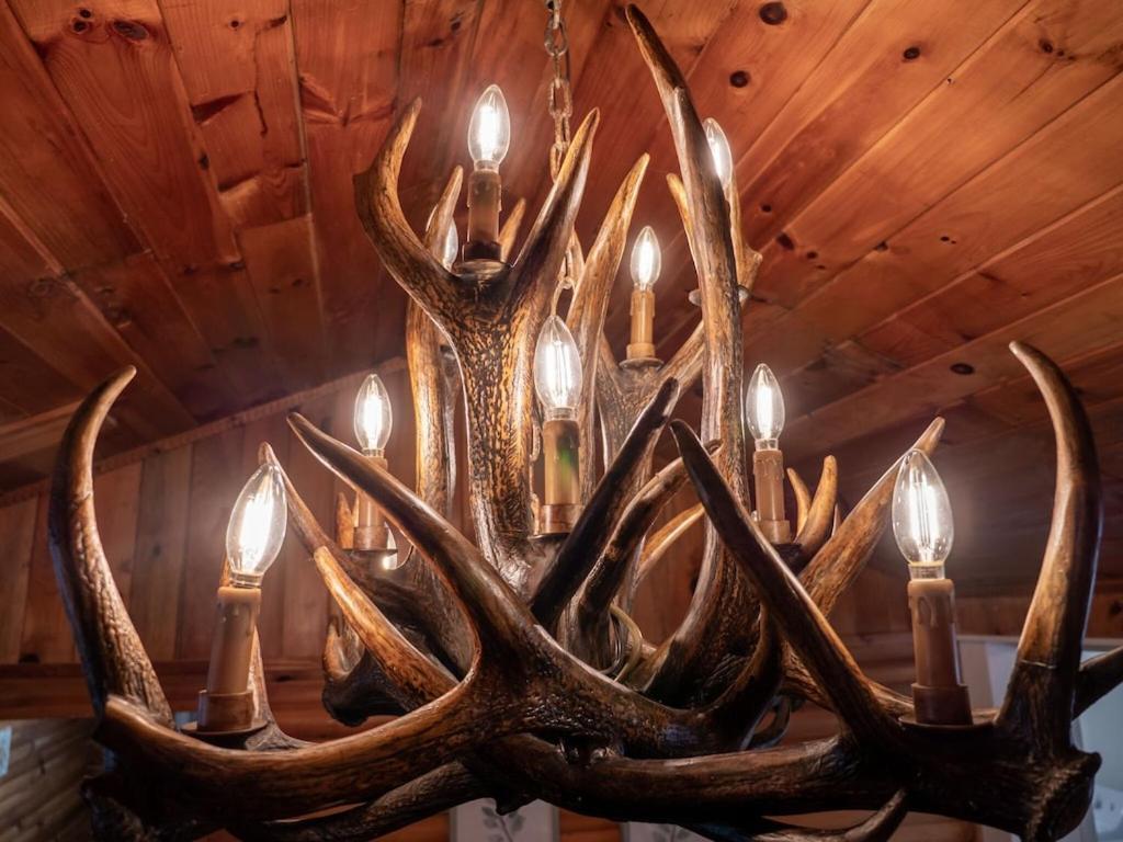 ブライソン・シティ Hibernation Stationヴィラ エクステリア 写真